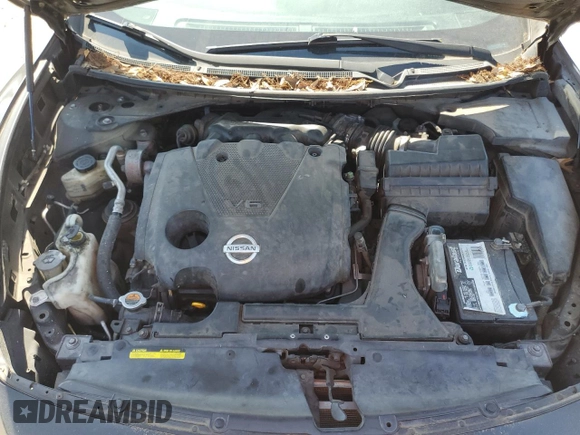 2009 Nissan Maxima S с VIN 1N4AA51E69C856493, выставлен на аукционе Copart как лот 52617375 с пробегом 166 266 миль миль и Списание • Salvage title. История ставок и продаж доступна на DreamBid. Изображение 13.