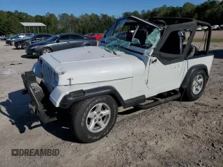 1993 Jeep Wrangler with VIN 1J4FY29S8PP227368, listed as a Copart auction lot 74816224 with 120,269 mi miles and Salvage Title. Bid and sale history available at carsss.com. Image 1.