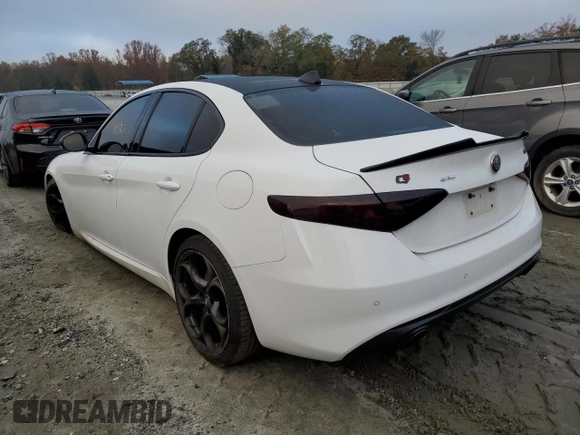 2019 Alfa Romeo Giulia Ti Sport with VIN ZARFAMBN1K7604602, listed as a Copart auction lot 65885482 with 65,701 mi miles. Bid and sale history available at carsss.com. Image 3.