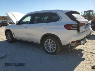 2019 BMW X5 xDrive40i with VIN 5UXCR6C55KLL37907, listed as a Copart auction lot 76977334 with 115,355 mi miles and Salvage Title. Bid and sale history available at carsss.com. Image 2.