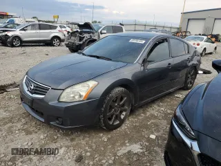 2008 Nissan Maxima SE with VIN 1N4BA41E48C814143, listed as a Copart auction lot 49307335 with 125,239 mi miles and Non repairable. Bid and sale history available at DreamBid. Image 1.