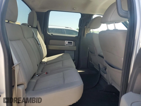 2010 Ford F-150 XL with VIN 1FTEW1C88AFA71473, listed as a Copart auction lot 61420085 with 143,965 mi miles and Salvage title. Bid and sale history available at DreamBid. Image 10.