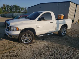 2005 Dodge Ram 1500 SLT with VIN 1D7HU16D25J607936, listed as a Copart auction lot 68876424 with 60,824 mi miles and Salvage Title. Bid and sale history available at carsss.com. Image 1.