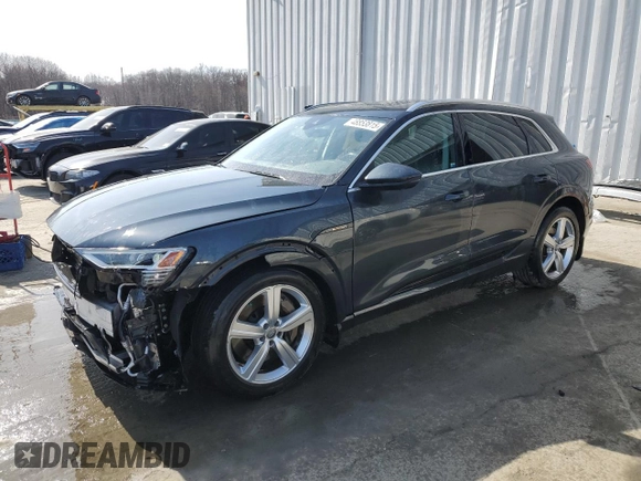 2019 Audi e-tron Premium Plus with VIN WA1LAAGEXKB015138, listed as a Copart auction lot 48853815 with 35,816 mi miles and Salvage title. Bid and sale history available at DreamBid. Image 1.