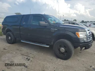 2010 Ford F-150 XL with VIN 1FTEX1C86AFD96491, listed as a Copart auction lot 62287115 with 283,496 mi miles and Clean title. Bid and sale history available at DreamBid. Image 4.
