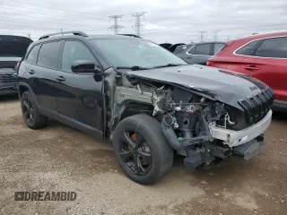 2017 Jeep Cherokee Limited z VIN 1C4PJMDS0HW616417, wystawiony jako Copart lot #50135515 z przebiegiem 121 693 mil mil oraz Szkoda całkowita • Salvage title. Historia ofert i sprzedaży dostępna na DreamBid. Obrazek 4.