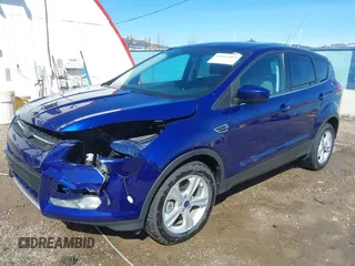 2014 Ford Escape SE with VIN 1FMCU9G99EUD02098, listed as a IAAI auction lot 41814969 with 210,218 mi miles and . Bid and sale history available at DreamBid. Image 2.