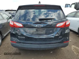 2019 Chevrolet Equinox LS with VIN 3GNAXSEVXKL253145, listed as a Copart auction lot 50736655 with 46,456 mi miles and Salvage Title. Bid and sale history available at DreamBid. Image 6.