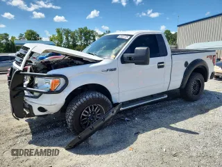 2013 Ford F-150 XL z VIN 1FTMF1EF5DFA50284, wystawiony jako Copart lot #63503725 z przebiegiem 75 916 mil mil oraz Szkoda całkowita • Salvage title. Historia ofert i sprzedaży dostępna na DreamBid. Obrazek 1.
