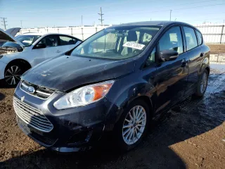 2013 Ford C-Max SE with VIN 1FADP5AU9DL523071, listed as a Copart auction lot 46371365 with 316,386 mi miles and Clean Title. Bid and sale history available at carsss.com. Image 1.