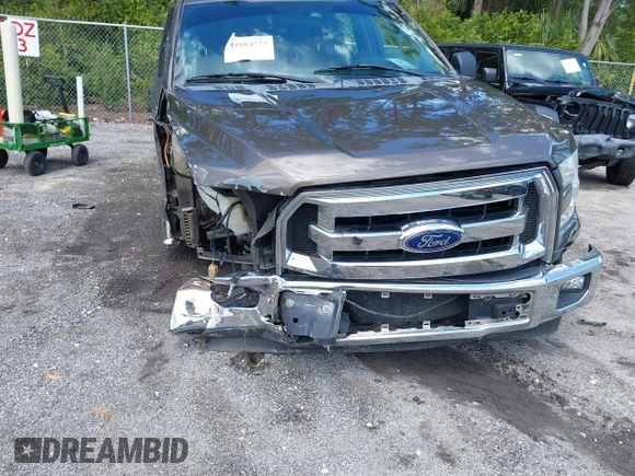 2017 Ford F-150 XL with VIN 1FTEW1CF6HFB67496, listed as a IAAI auction lot 41884533 with 156,424 mi miles and . Bid and sale history available at DreamBid. Image 6.