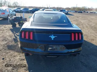 2017 Ford Mustang V6 with VIN 1FA6P8AM8H5224319, listed as a IAAI auction lot 40879732 with 69,176 mi miles and . Bid and sale history available at carsss.com. Image 16.