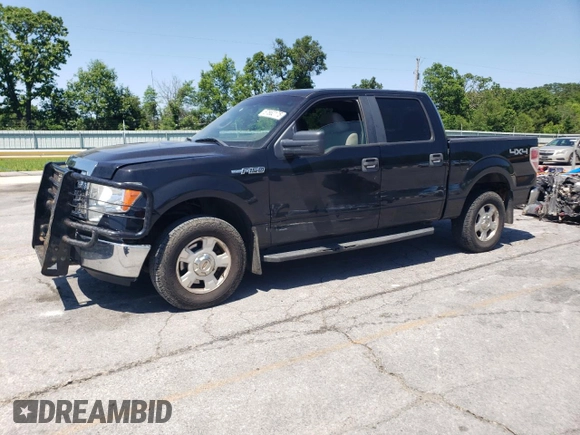 2010 Ford F-150 XL with VIN 1FTEW1E88AFB33306, listed as a Copart auction lot 57662175 with Not provided miles and Salvage title. Bid and sale history available at DreamBid. Image 1.