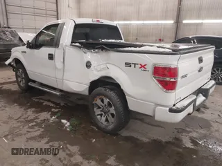 2013 Ford F-150 XL with VIN 1FTMF1EF4DFD41360, listed as a IAAI auction lot 41069794 with 159,097 mi miles and . Bid and sale history available at DreamBid. Image 3.