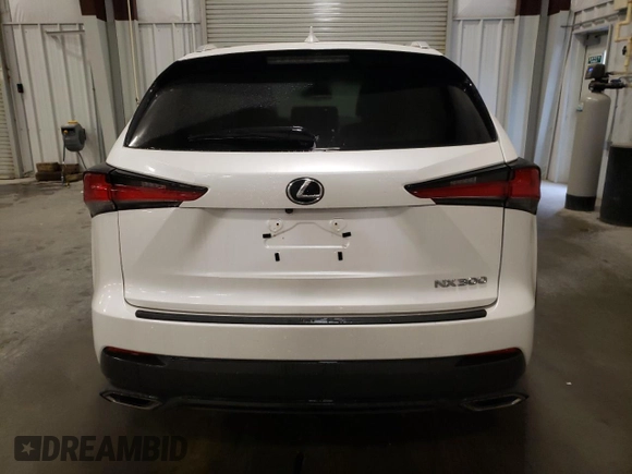 2020 Lexus NX 300 z VIN JTJAARBZXL2158305, wystawiony jako Copart lot #78584034 z przebiegiem 46 897 mil mil oraz Szkody całkowita. Historia ofert i sprzedaży dostępna na DreamBid. Obrazek 6.