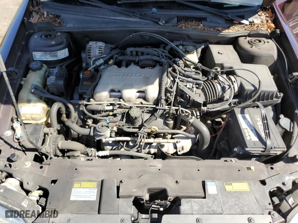 2000 Chevrolet Malibu with VIN 1G1ND52J0Y6194074, listed as a Copart auction lot 49492665 with 116,214 mi miles and Salvage Title. Bid and sale history available at carsss.com. Image 11.