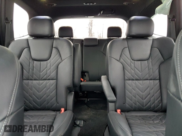 2024 Kia Telluride SX X-Line with VIN 5XYP5DGC6RG514451, listed as a Copart auction lot 43965105 with 16,145 mi miles and Salvage Title. Bid and sale history available at carsss.com. Image 10.