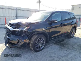 2022 Honda Passport EX-L with VIN 5FNYF7H57NB006655, listed as a Copart auction lot 48693295 with 38,579 mi miles and Salvage Title. Bid and sale history available at carsss.com. Image 1.