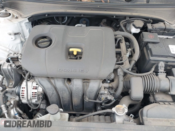 2019 Kia Forte LXS with VIN 3KPF24AD9KE012901, listed as a IAAI auction lot 42376006 with 20,460 mi miles and . Bid and sale history available at DreamBid. Image 10.