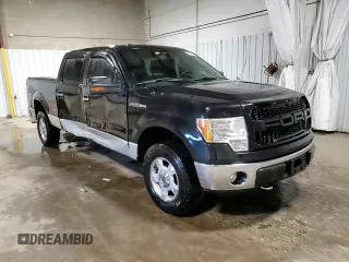 2012 Ford F-150 XL with VIN 1FTFW1EF3CFC38227, listed as a Copart auction lot 54176145 with 161,670 mi miles and Salvage Title. Bid and sale history available at carsss.com. Image 13.