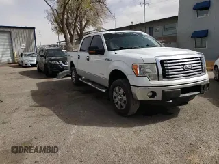 2011 Ford F-150 XLT with VIN 1FTFW1ET0BFC92699, listed as a Copart auction lot 48822555 with 202,806 mi miles and Salvage Title. Bid and sale history available at carsss.com. Image 11.