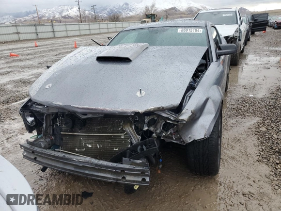 2007 Ford Mustang GT Deluxe with VIN 1ZVFT82H875274785, listed as a Copart auction lot 45746645 with Not provided miles and Salvage title. Bid and sale history available at DreamBid. Image 5.