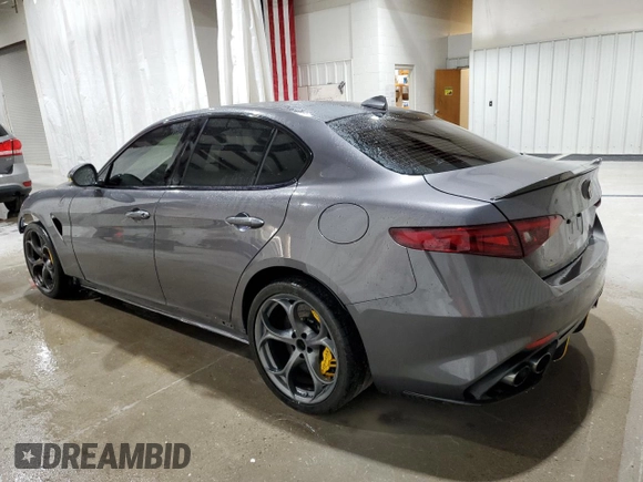 2017 Alfa Romeo Giulia with VIN ZARFAEAV6H7550942, listed as a Copart auction lot 48866585 with 25,634 mi miles and Salvage title. Bid and sale history available at DreamBid. Image 2.