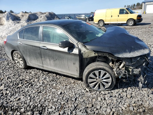2014 Honda Accord Sedan EX-L with VIN 1HGCR2F85EA092155, listed as a Copart auction lot 49164215 with 0 mi miles and Salvage Title. Bid and sale history available at carsss.com. Image 4.