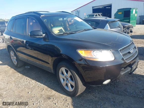 2009 Hyundai Santa Fe SE with VIN 5NMSH13E49H329117, listed as a IAAI auction lot 41995036 with 251,494 mi miles. Bid and sale history available at carsss.com. Image 1.
