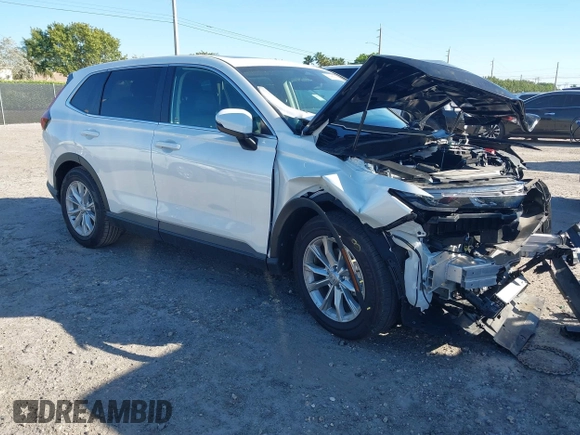 2024 Honda CR-V EX-L with VIN 7FARS3H73RE004390, listed as a IAAI auction lot 41698439 with Not Provided miles and . Bid and sale history available at DreamBid. Image 1.