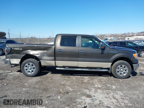 2009 Ford F-150 XL с VIN 1FTPW14V49FA98033, выставлен на аукционе IAAI как лот 41822035 с пробегом 209 727 миль миль и . История ставок и продаж доступна на DreamBid. Изображение 14.