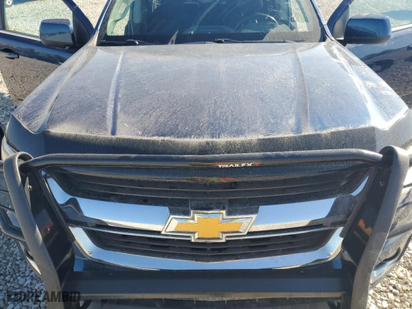 2019 Chevrolet Colorado 4WD LT with VIN 1GCGTCEN8K1357287, listed as a Copart auction lot 76434064 with 86,400 mi miles and Salvage Title. Bid and sale history available at carsss.com. Image 12.