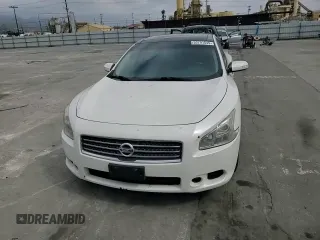 2009 Nissan Maxima SV with VIN 1N4AA51E69C809139, listed as a Copart auction lot 53791545 with 141,482 mi miles and Salvage Title. Bid and sale history available at DreamBid. Image 13.