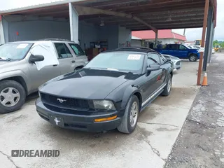 2005 Ford Mustang Deluxe with VIN 1ZVFT80N855159738, listed as a IAAI auction lot 42063276 with 214,063 mi miles. Bid and sale history available at carsss.com. Image 6.