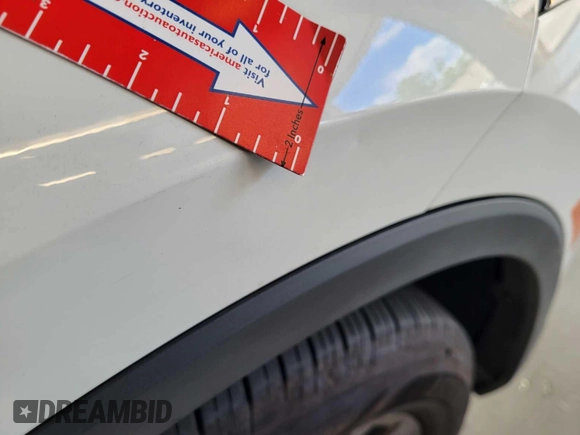2024 Volkswagen Tiguan SE с VIN 3VV3B7AX8RM082650, выставлен на аукционе IAAI как лот 42853001 с пробегом 19 677 миль миль и . История ставок и продаж доступна на DreamBid. Изображение 22.