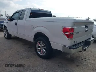 2013 Ford F-150 XL with VIN 1FTFX1CT6DFC49469, listed as a IAAI auction lot 41531391 with 277,141 mi miles. Bid and sale history available at carsss.com. Image 3.