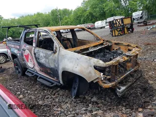 2019 Chevrolet Colorado 4WD LT z VIN 1GCGTCEN5K1280135, wystawiony jako IAAI lot #42341598 z przebiegiem Nie podano mil oraz . Historia ofert i sprzedaży dostępna na DreamBid. Obrazek 1.