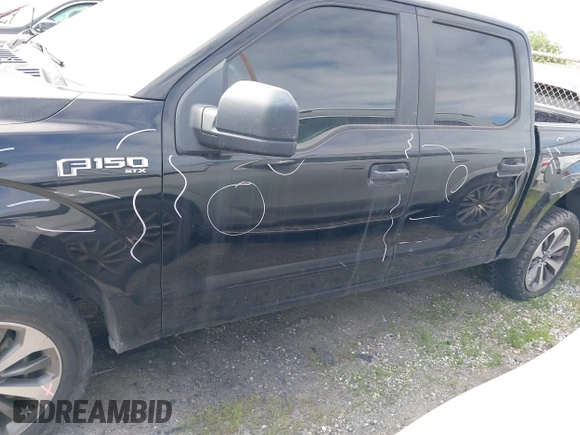 2019 Ford F-150 XL with VIN 1FTEW1EP4KKD73243, listed as a IAAI auction lot 41456076 with 114,198 mi miles. Bid and sale history available at carsss.com. Image 15.