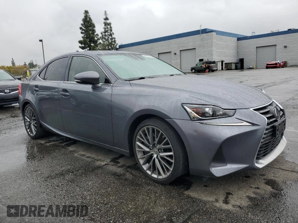 2019 Lexus IS with VIN JTHBA1D2XK5090799, listed as a Copart auction lot 48598785 with 22,079 mi miles and Salvage Title. Bid and sale history available at carsss.com. Image 4.