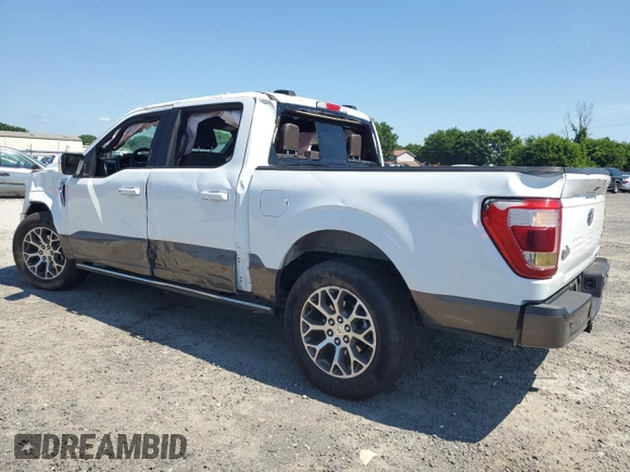 2023 Ford F-150 XL with VIN 1FTEW1C82PFB13340, listed as a Copart auction lot 55874744 with Not Provided miles and Salvage Title. Bid and sale history available at carsss.com. Image 2.