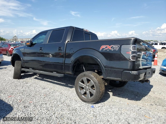 2013 Ford F-150 XL with VIN 1FTFW1CF1DKG41439, listed as a Copart auction lot 50168925 with 113,320 mi miles and Salvage Title. Bid and sale history available at carsss.com. Image 2.