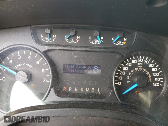 2013 Ford F-150 XL with VIN 1FTMF1EF1DFA51044, listed as a Copart auction lot 79561474 with 191,122 mi miles and Salvage Title. Bid and sale history available at DreamBid. Image 9.