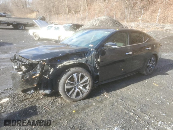 2019 Nissan Maxima SV with VIN 1N4AA6AV1KC372727, listed as a Copart auction lot 49873135 with 115,712 mi miles and Salvage Title. Bid and sale history available at DreamBid. Image 1.
