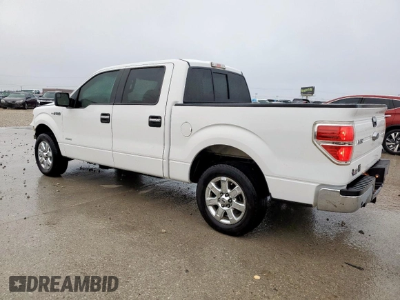 2014 Ford F-150 XL with VIN 1FTFW1CT5EKE89639, listed as a Copart auction lot 51458055 with 193,508 mi miles and Salvage Title. Bid and sale history available at DreamBid. Image 2.