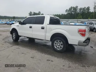 2011 Ford F-150 XL with VIN 1FTFW1CF5BFD20767, listed as a Copart auction lot 58480325 with 249,826 mi miles and Salvage title. Bid and sale history available at DreamBid. Image 2.