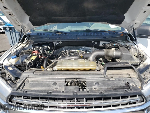 2020 Ford F-150 XL with VIN 1FTEW1EP1LFB38518, listed as a Copart auction lot 52570445 with Not Provided miles and Salvage Title. Bid and sale history available at carsss.com. Image 11.