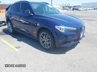 2019 Alfa Romeo Stelvio z VIN ZASPAKAN5K7C29955, wystawiony jako IAAI lot #42096049 z przebiegiem 85 935 mil mil oraz . Historia ofert i sprzedaży dostępna na DreamBid. Obrazek 1.
