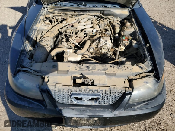 1999 Ford Mustang with VIN 1FAFP4048XF153206, listed as a Copart auction lot 45626205 with Not provided miles and Salvage title. Bid and sale history available at DreamBid. Image 11.