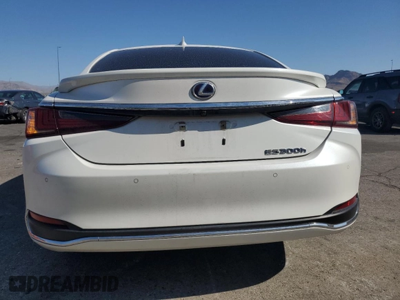 2020 Lexus ES 300h with VIN 58AD21B10LU007586, listed as a Copart auction lot 60130325 with 68,851 mi miles and Salvage title. Bid and sale history available at DreamBid. Image 6.