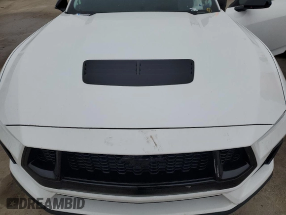 2024 Ford Mustang GT with VIN 1FA6P8CF9R5411164, listed as a Copart auction lot 43802615 with Not provided miles and Salvage title. Bid and sale history available at DreamBid. Image 11.